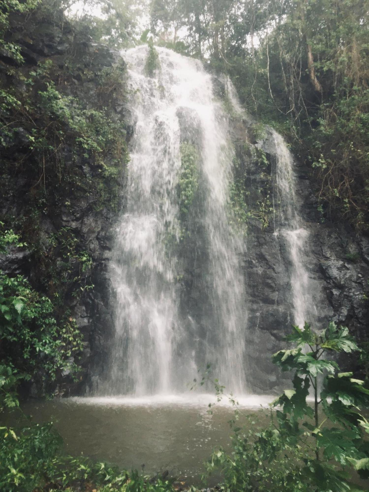 Nimbin Waterfall Retreat Exterior photo