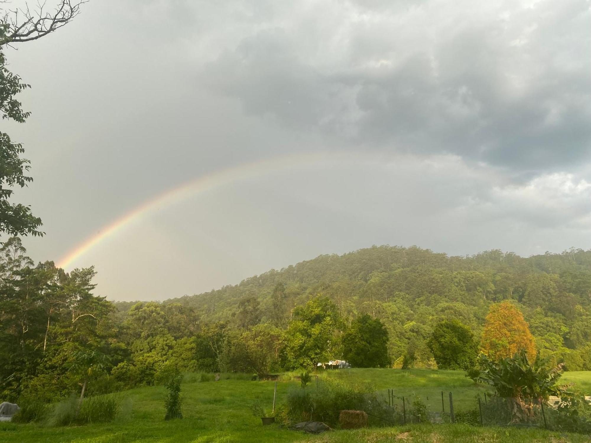 Nimbin Waterfall Retreat Exterior photo