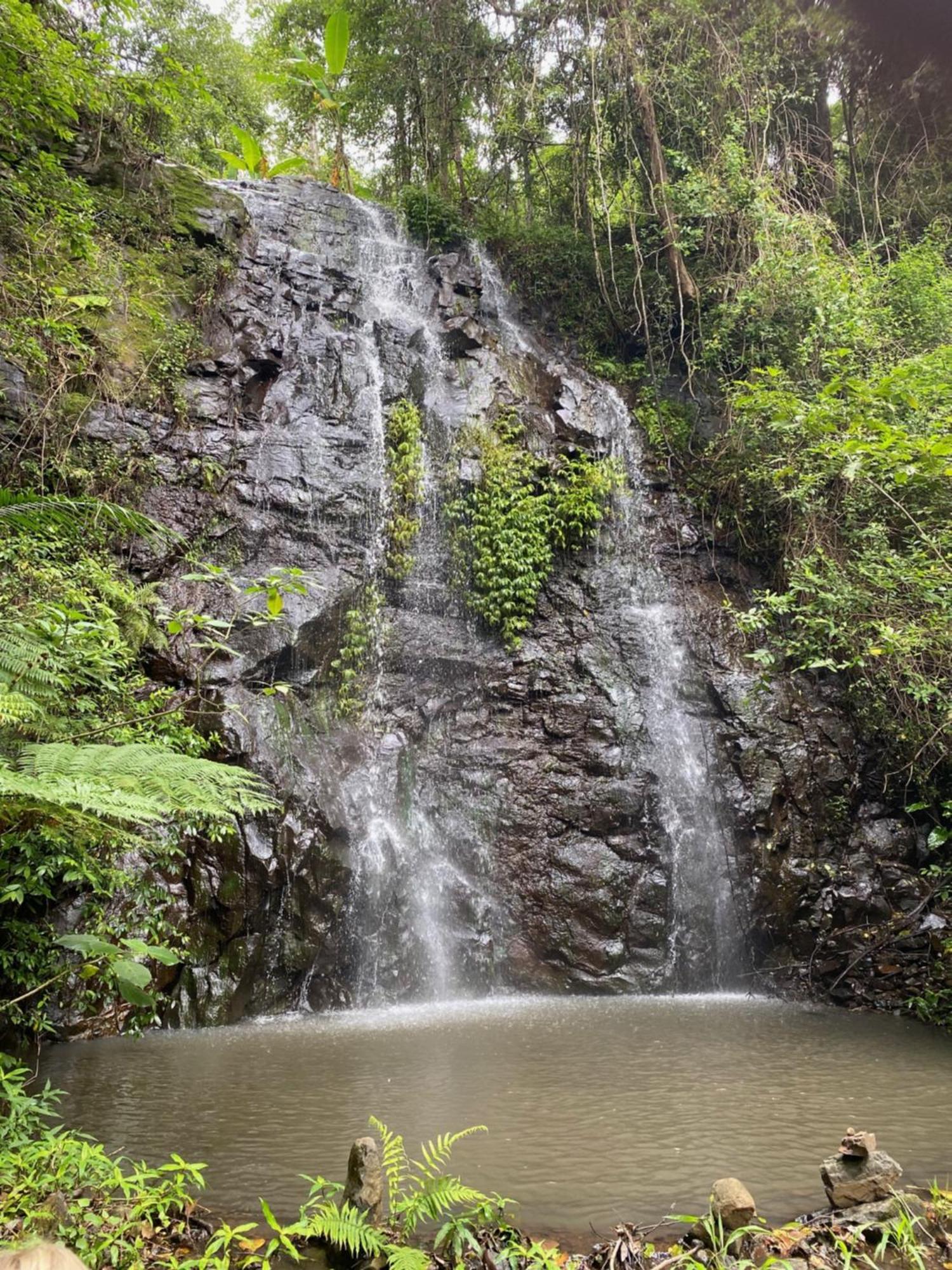 Nimbin Waterfall Retreat Exterior photo